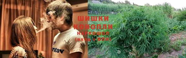 PSILOCYBIN Алзамай
