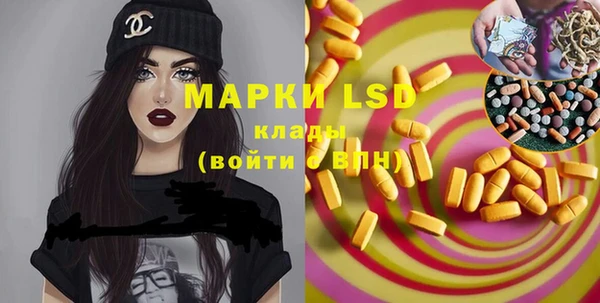 PSILOCYBIN Алзамай